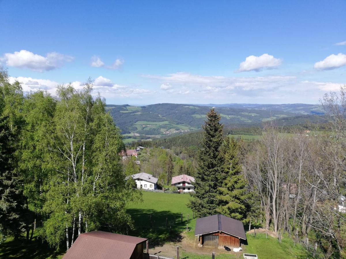 Weixl Schi&Bike Appartements-Bike In&Bike Out Neben Wexl Trails Bikepark Sankt Corona am Wechsel Esterno foto