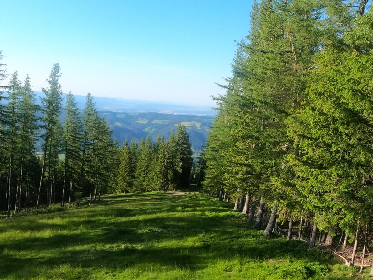 Weixl Schi&Bike Appartements-Bike In&Bike Out Neben Wexl Trails Bikepark Sankt Corona am Wechsel Esterno foto
