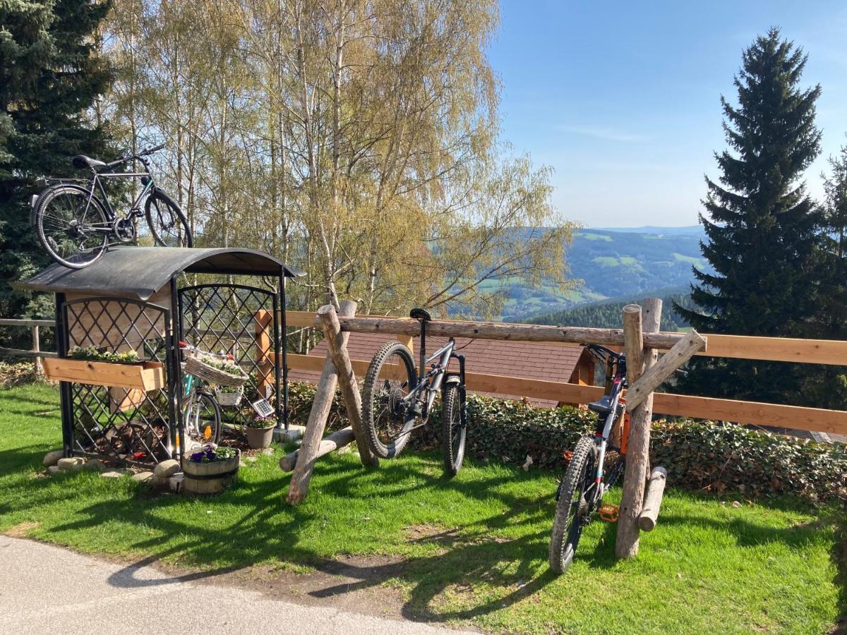 Weixl Schi&Bike Appartements-Bike In&Bike Out Neben Wexl Trails Bikepark Sankt Corona am Wechsel Esterno foto