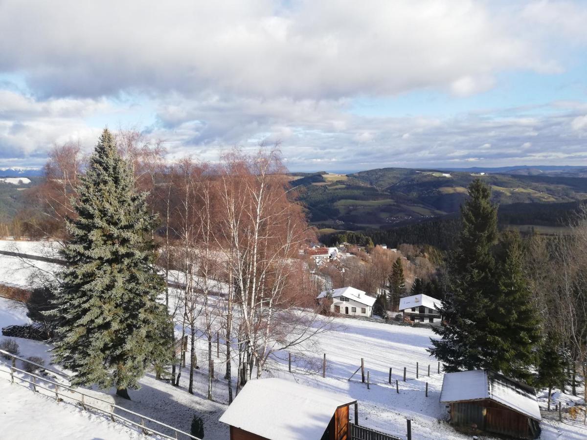 Weixl Schi&Bike Appartements-Bike In&Bike Out Neben Wexl Trails Bikepark Sankt Corona am Wechsel Esterno foto