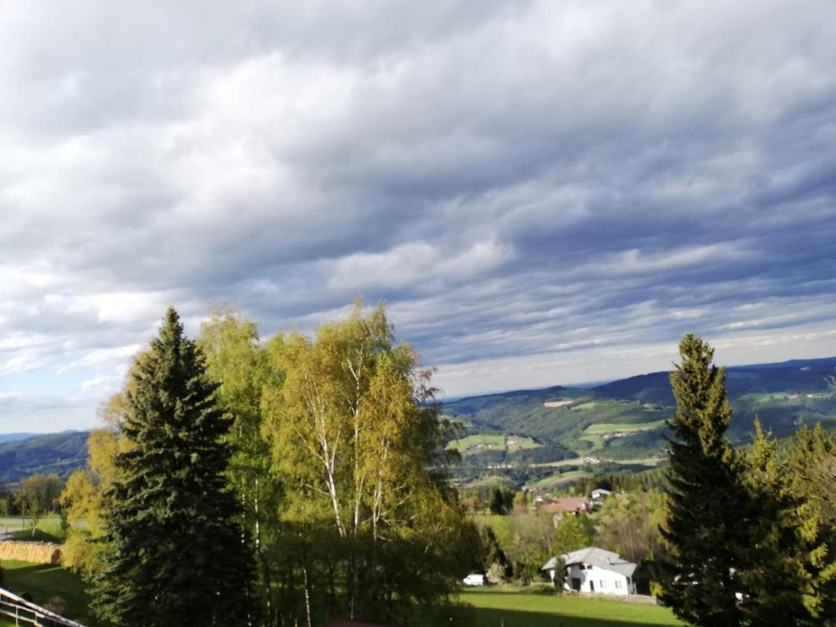 Weixl Schi&Bike Appartements-Bike In&Bike Out Neben Wexl Trails Bikepark Sankt Corona am Wechsel Esterno foto