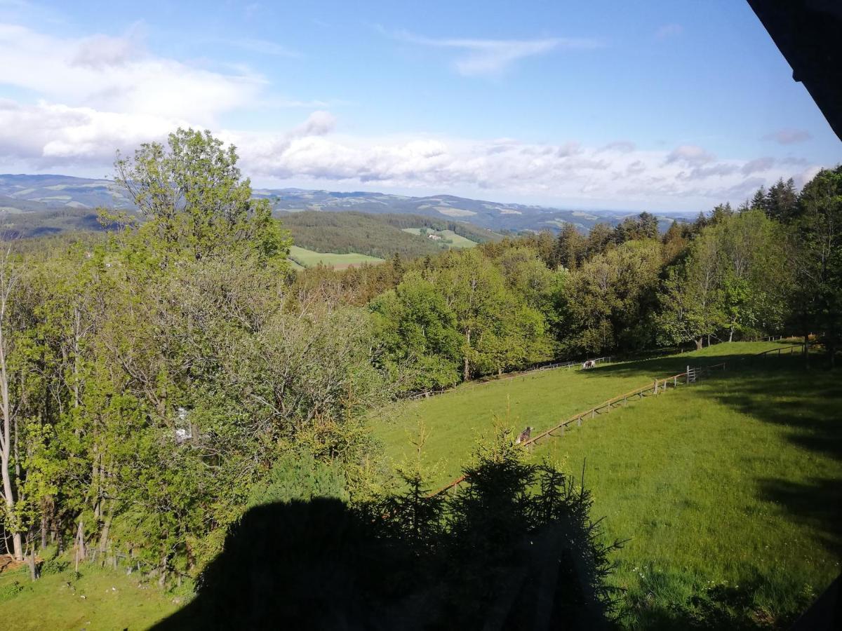 Weixl Schi&Bike Appartements-Bike In&Bike Out Neben Wexl Trails Bikepark Sankt Corona am Wechsel Esterno foto