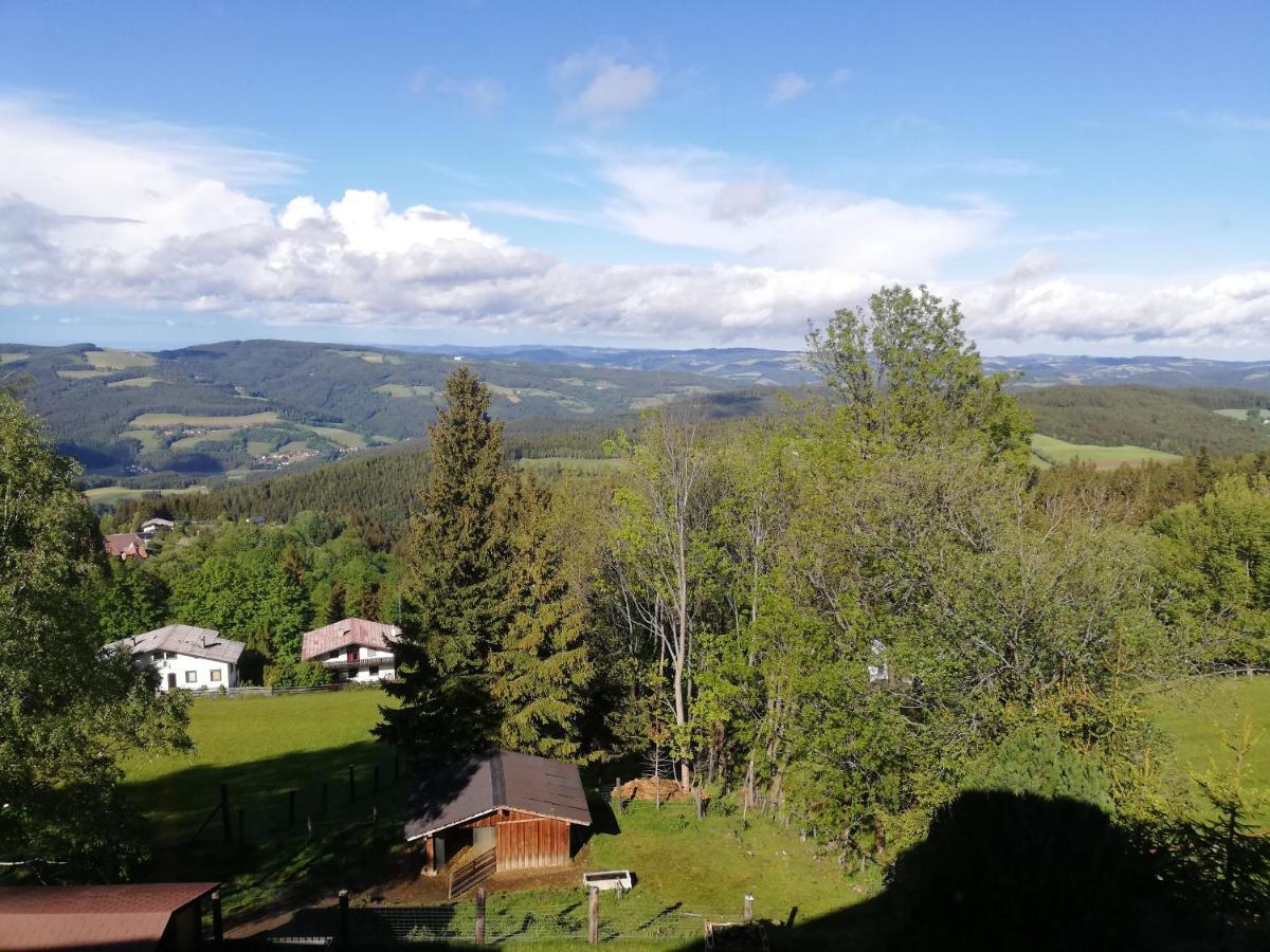 Weixl Schi&Bike Appartements-Bike In&Bike Out Neben Wexl Trails Bikepark Sankt Corona am Wechsel Esterno foto